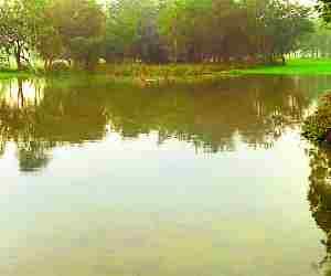 Canal cut made crop suffer