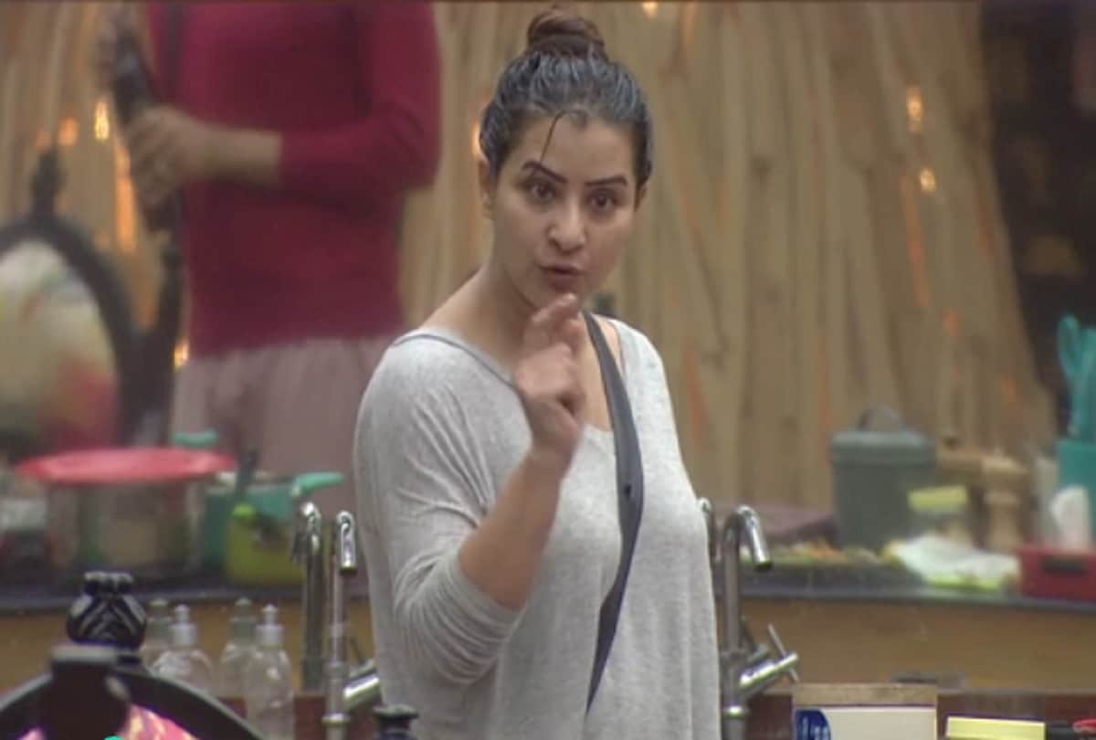 Bigg Boss 11 contestant Shilpa Shinde says I did not like when Akash Dadlani kisses me 