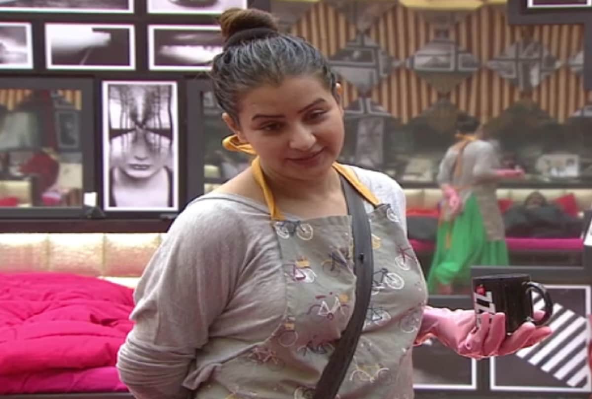 Bigg Boss 11 contestant Shilpa Shinde says I did not like when Akash Dadlani kisses me 