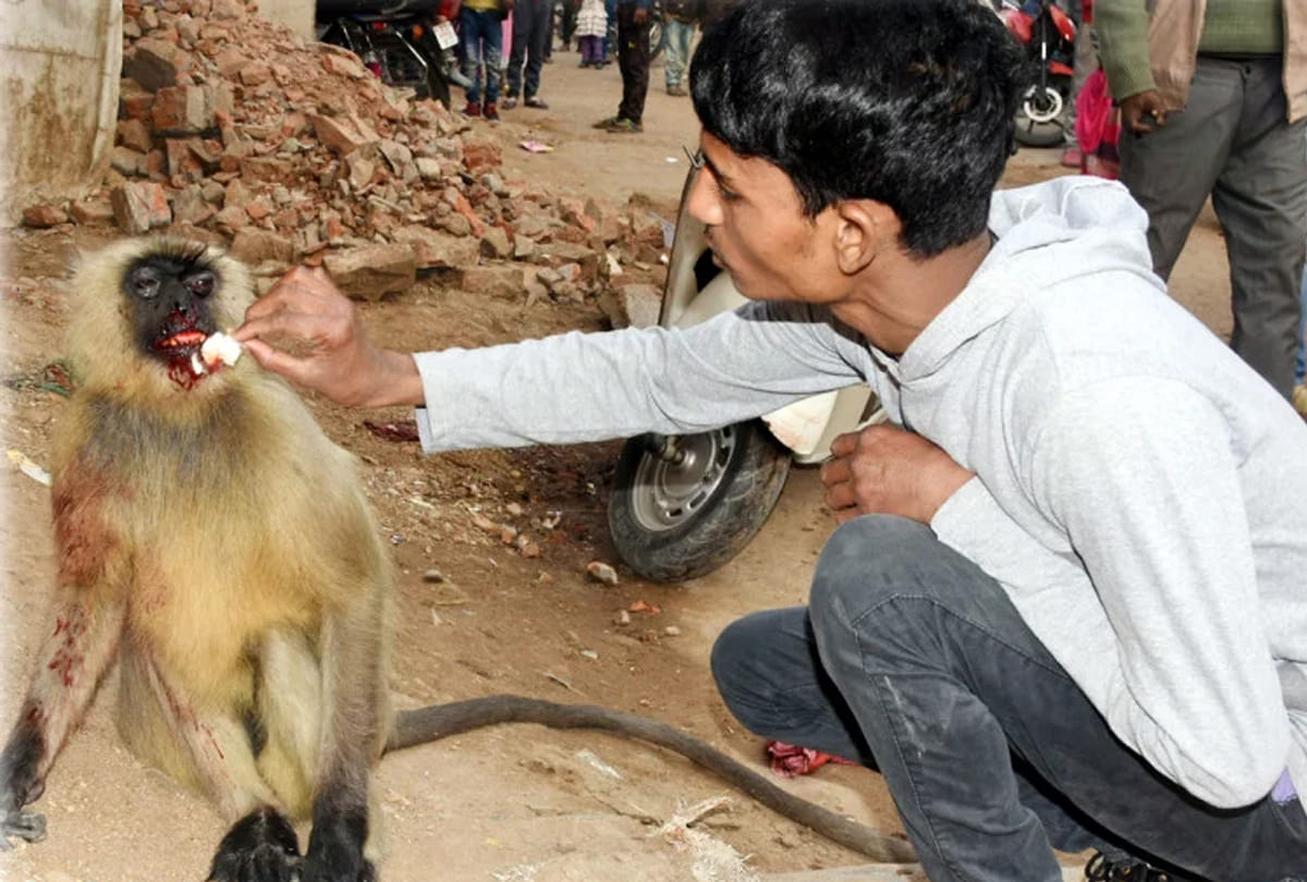man arrested due to cruelity with monkey