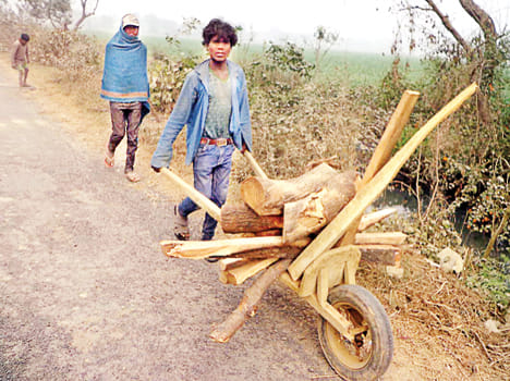 Heat shiver from cold wave, five deaths due to cold