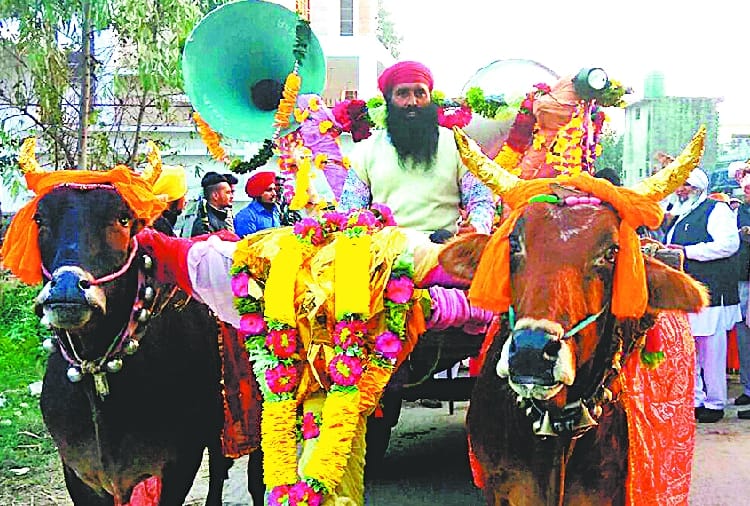 unique marriage in kapurthala of punjab