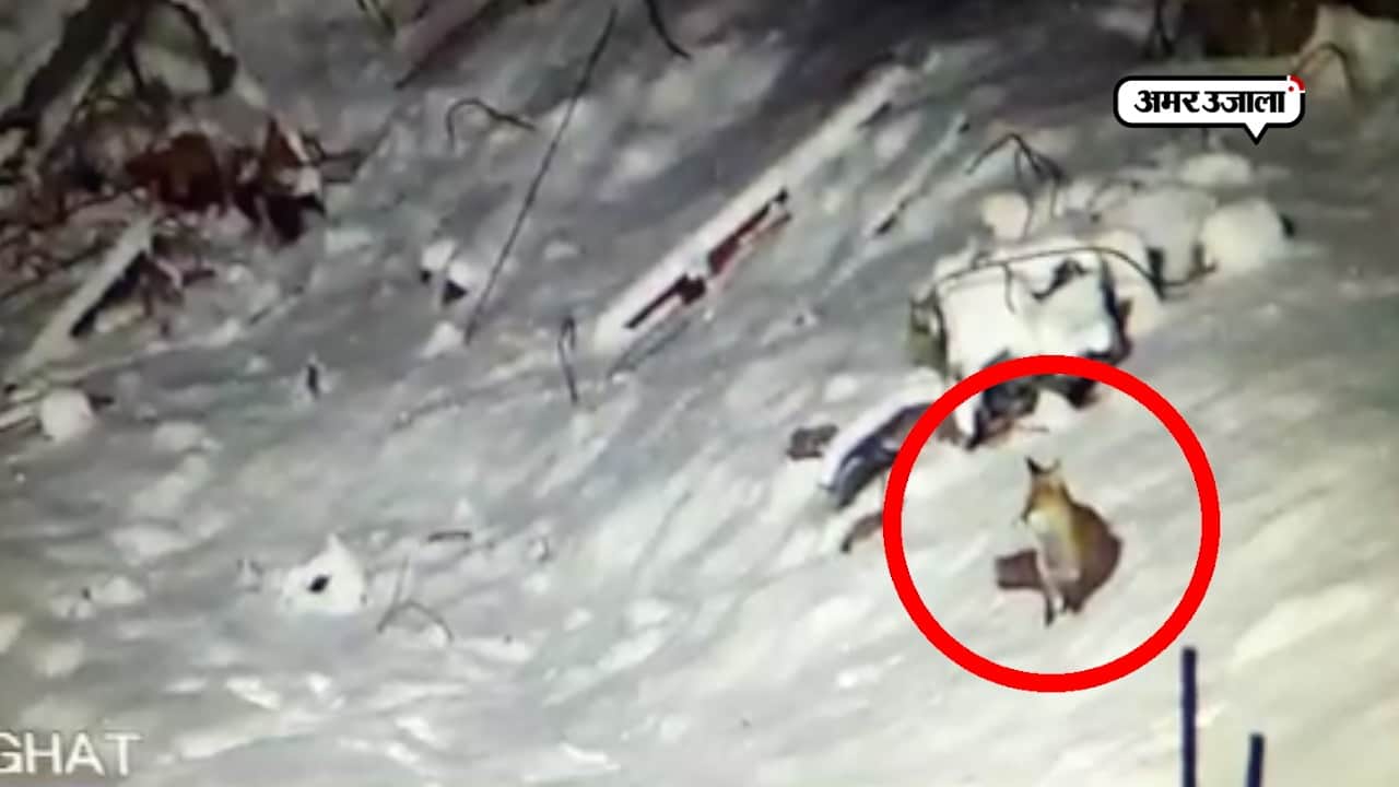 उतराखंड 