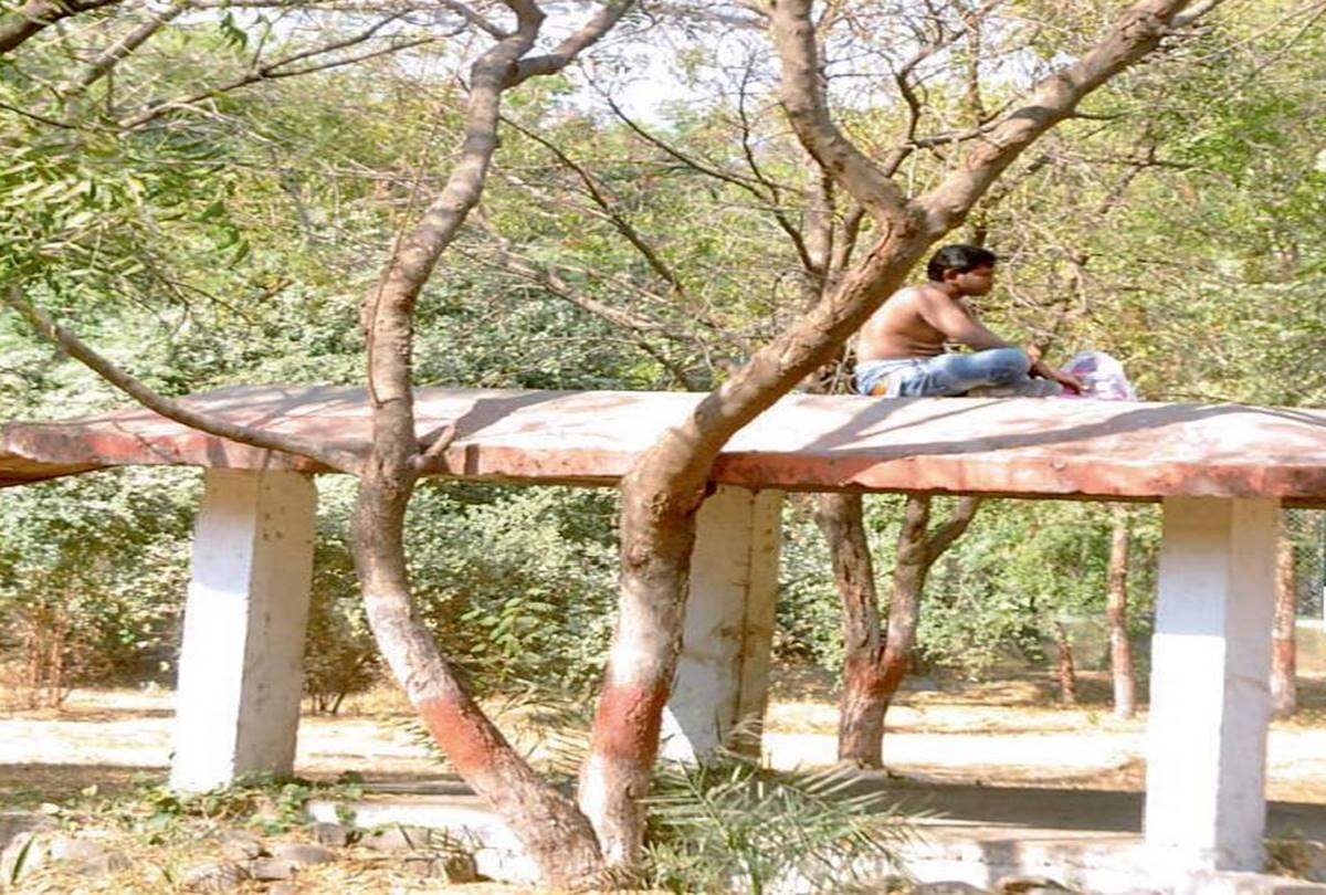 A man jumped in lions cage at indore 