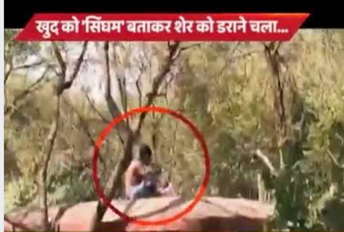 A man jumped in lions cage at indore 
