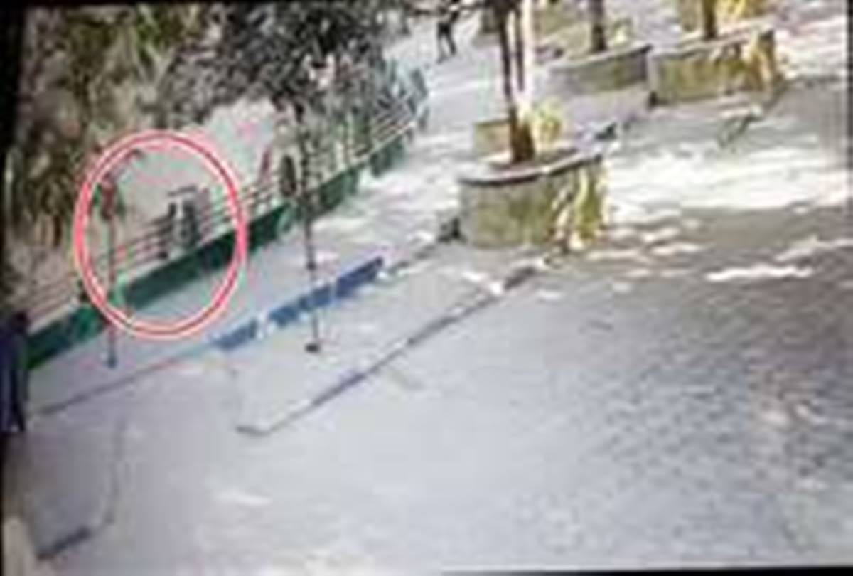 A man jumped in lions cage at indore 