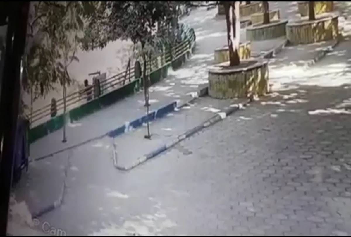 A man jumped in lions cage at indore 