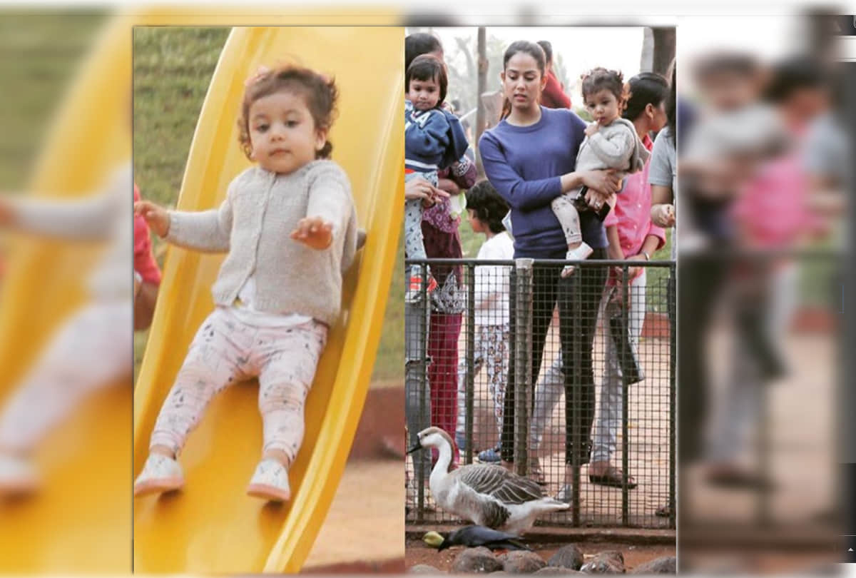 shahid kapoor and mira rajput son zain kapoor first picture
