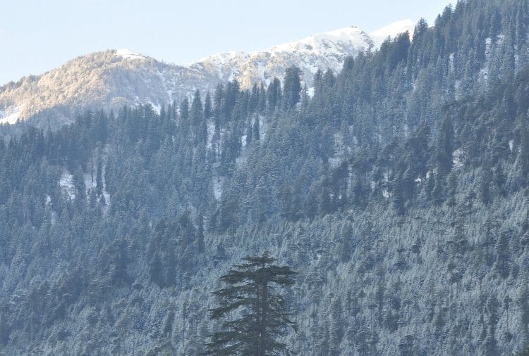 Snowfall in manali and Solang valley himachal pradesh