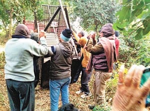 rangers put cage in forest