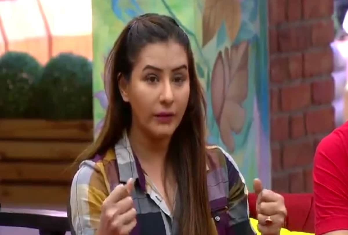 bigg boss 11 all contestants are against luv tyagi in debate