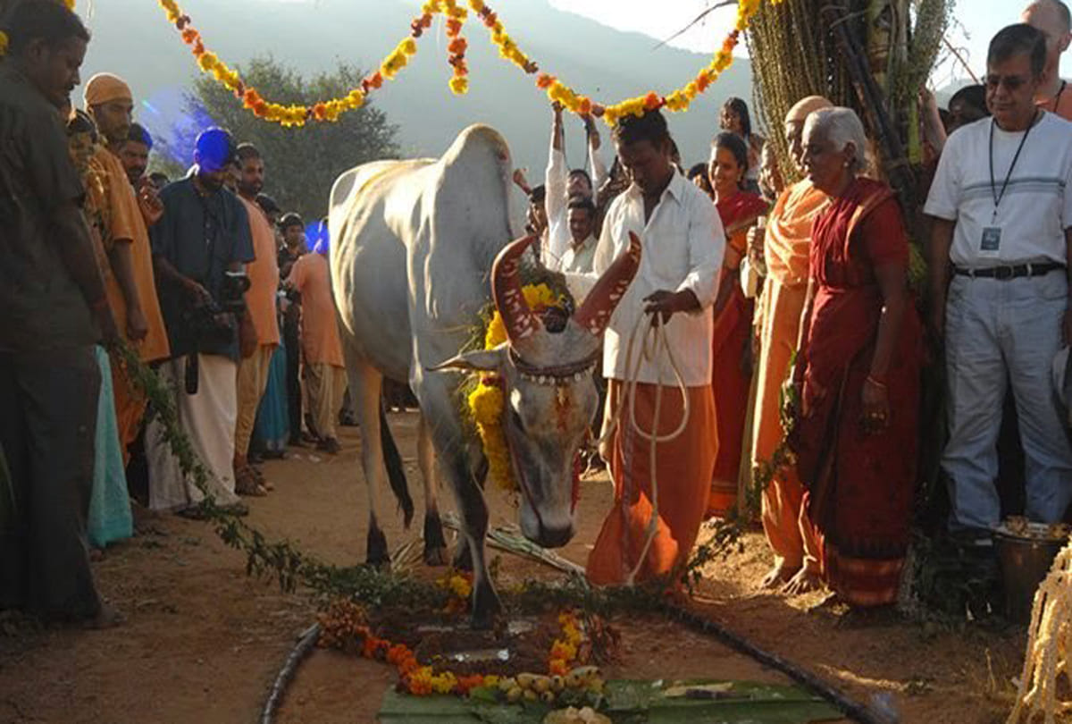 makar sankranti 2018 know why this sankranti is most important