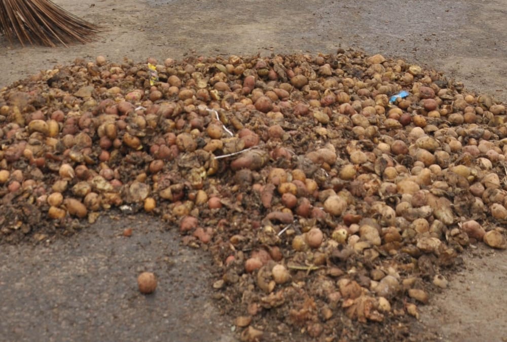 Siege of Badmash, who came to rob a potato farmer