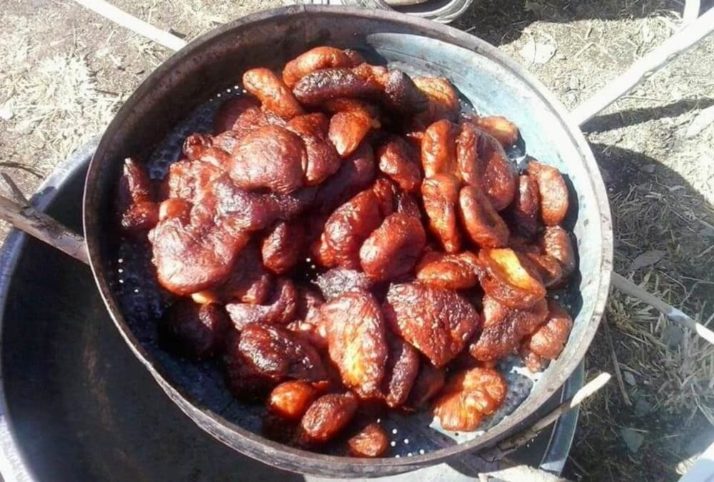 Anukriti gusain tushit rawat marriage Arse will special dish