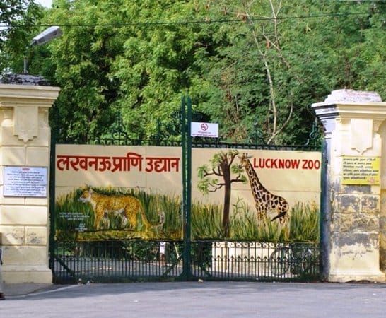  Ticket will be compulsory for the Three D show in lucknow zoo