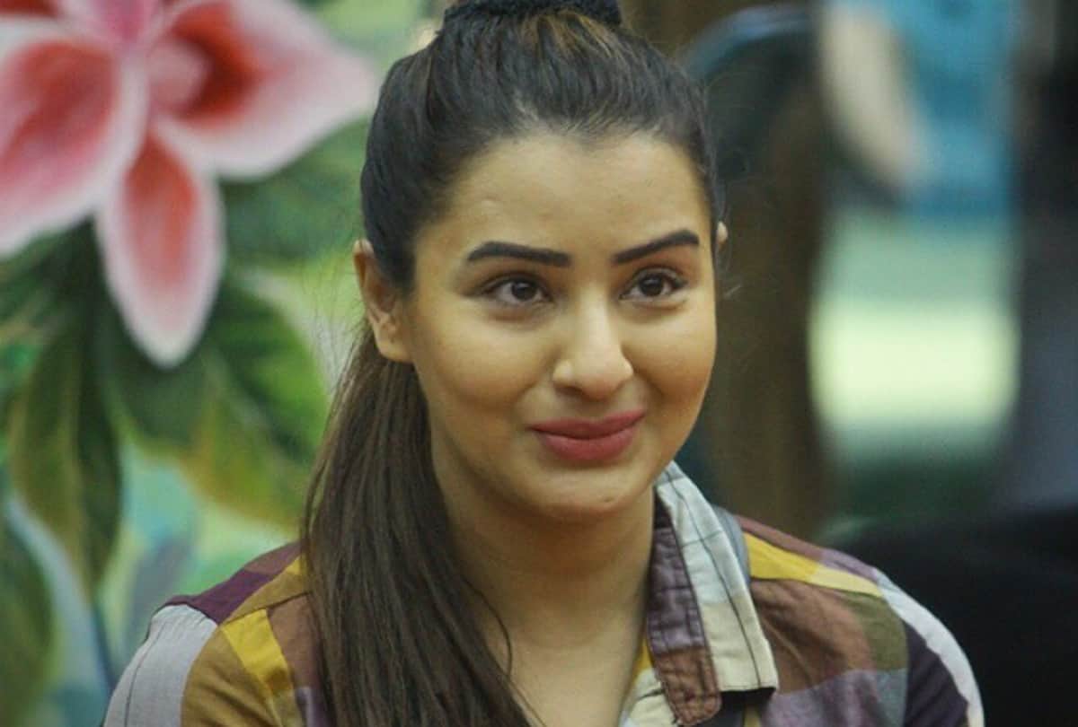 Bigg Boss 11 winner Shilpa Shinde missing Puneesh Sharma shared picture on social media 