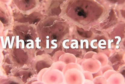 cancer is spreading rapidly in himachal pradesh
