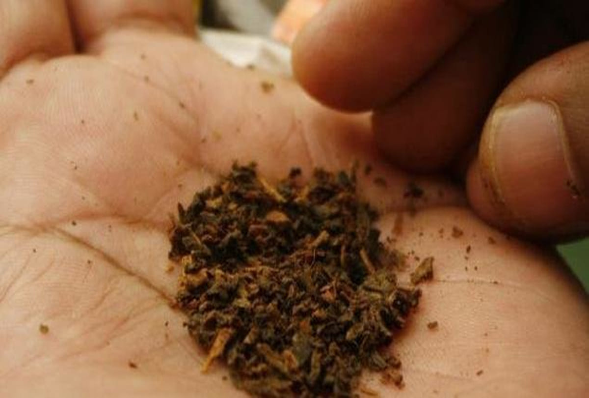 gst officers raid on ganesh chhap tobacco at kanpur