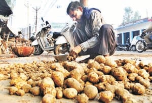 potato rate not decided, farmers in rtouble