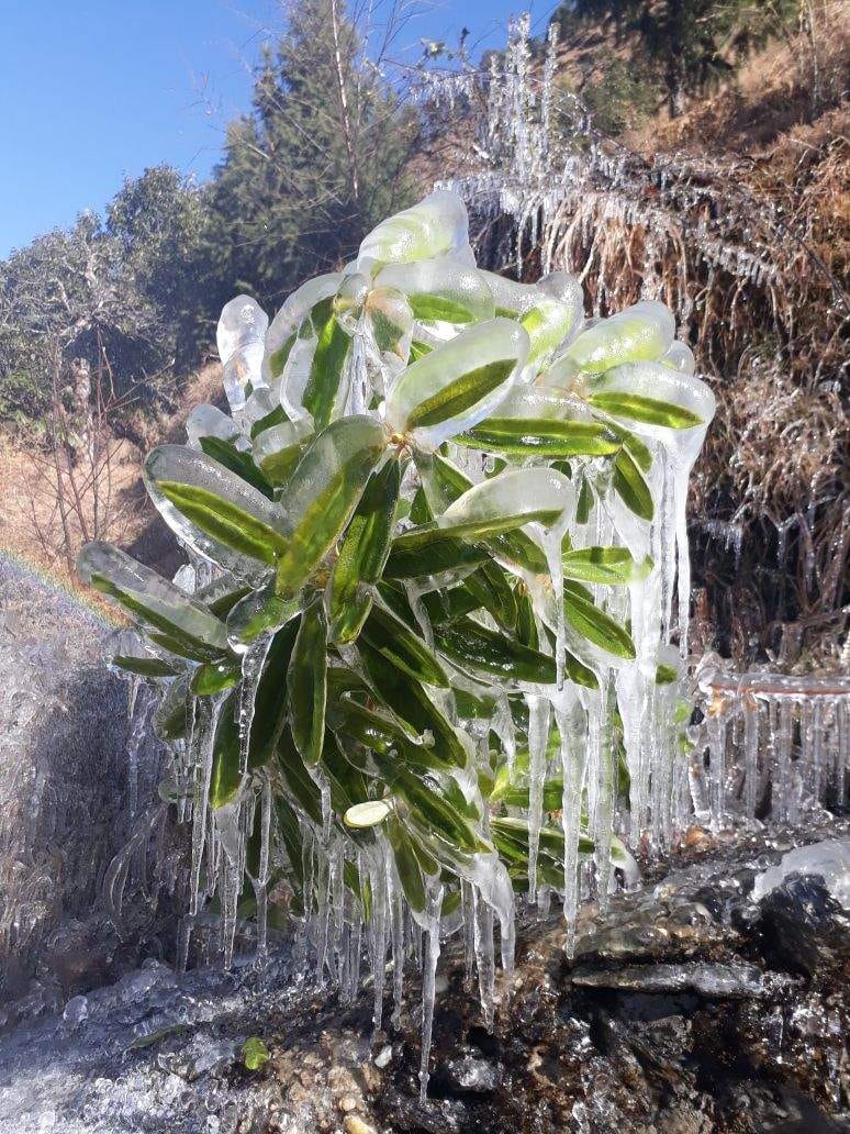 uttarakhand hilly area freeze from cold