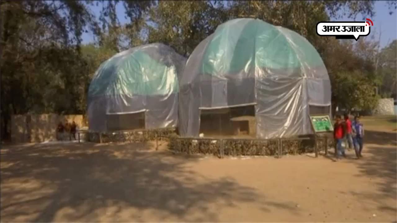 चिड़ियाघर