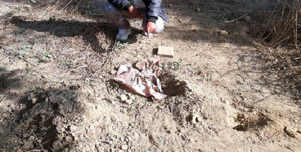 Dead body from the grave, dogs nick, sight of the villagers who are watching this hall