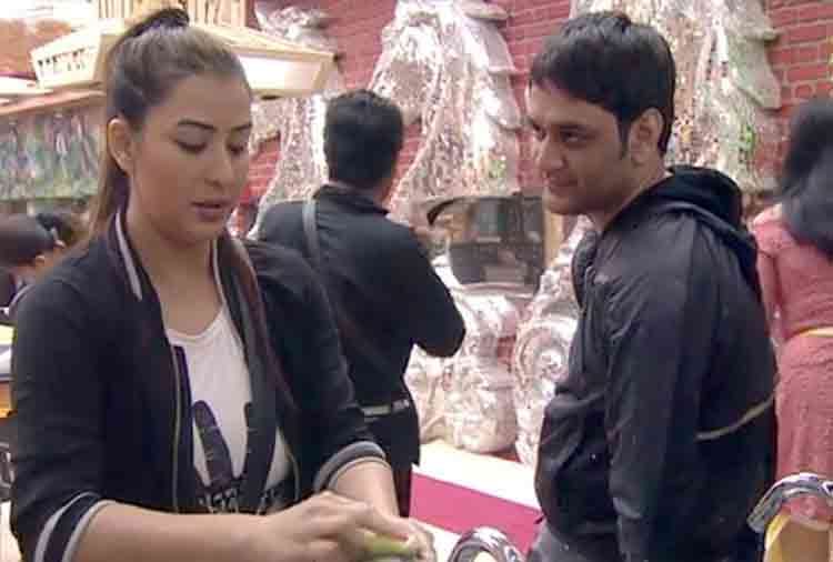 bigg boss 11 vikas gupta will be the winner of the show