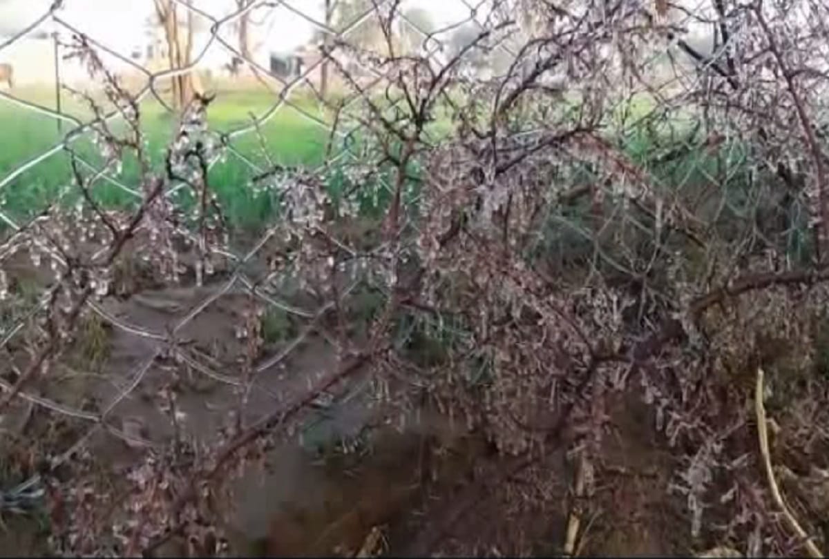 A man died due to winter in rajasthan
