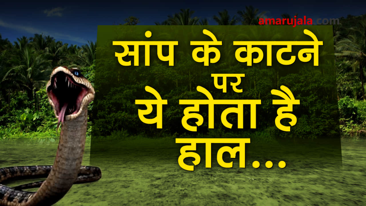 know what happens when snake venom mix with human blood special story