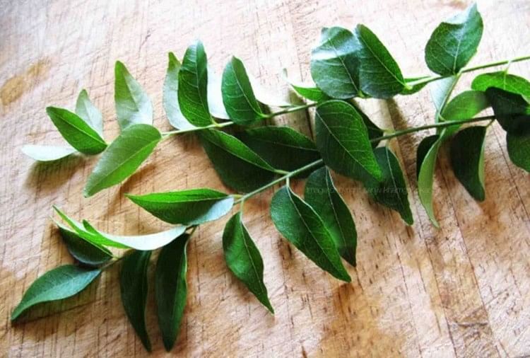 Use Curry Leaves for White hair  Grey hair Recipes and Benefits of Kadi  Patta