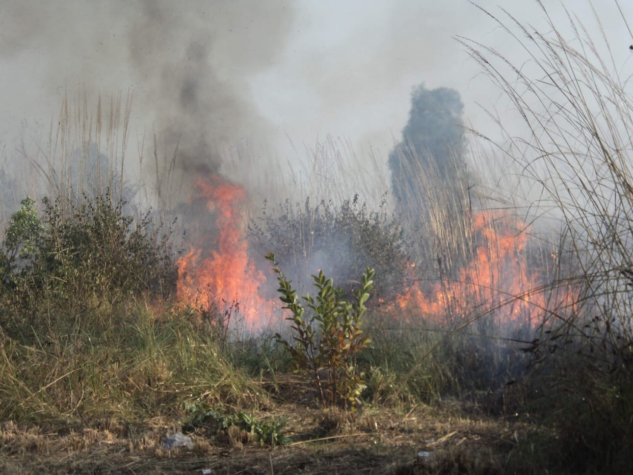 fire in cemetry in gajraula