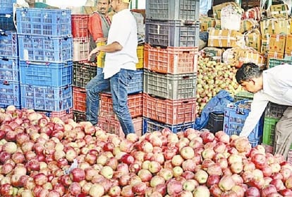 tree spray oil banned for apple in himachal