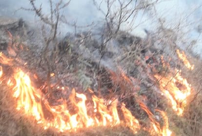 one person died due to fire in house and 250 apple plants burnt