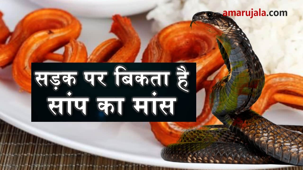 प्रतीकात्मक तस्वीर