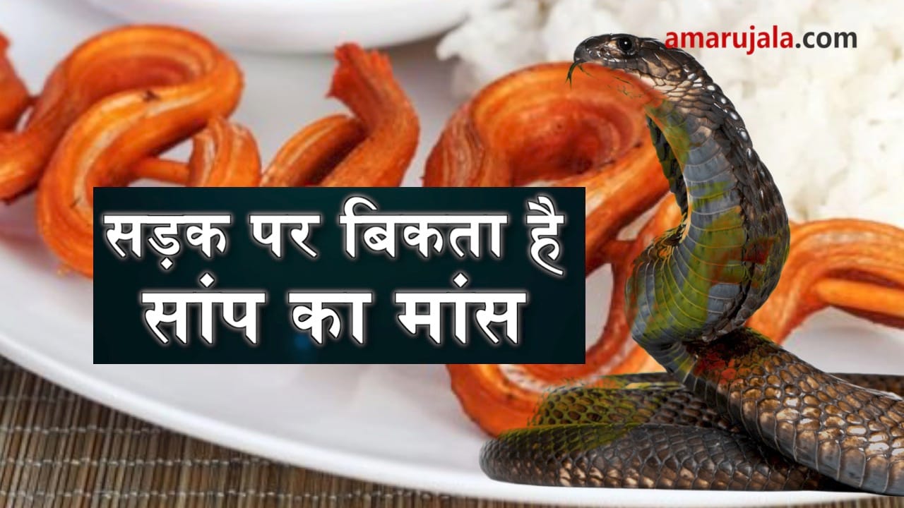 प्रतीकात्मक तस्वीर