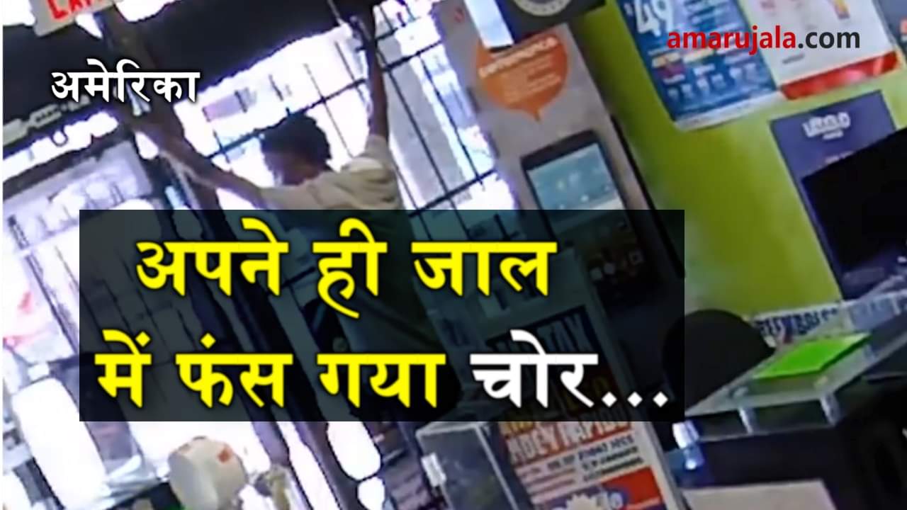 प्रतीकात्मक तस्वीर