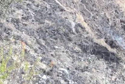 one person died due to fire in house and 250 apple plants burnt