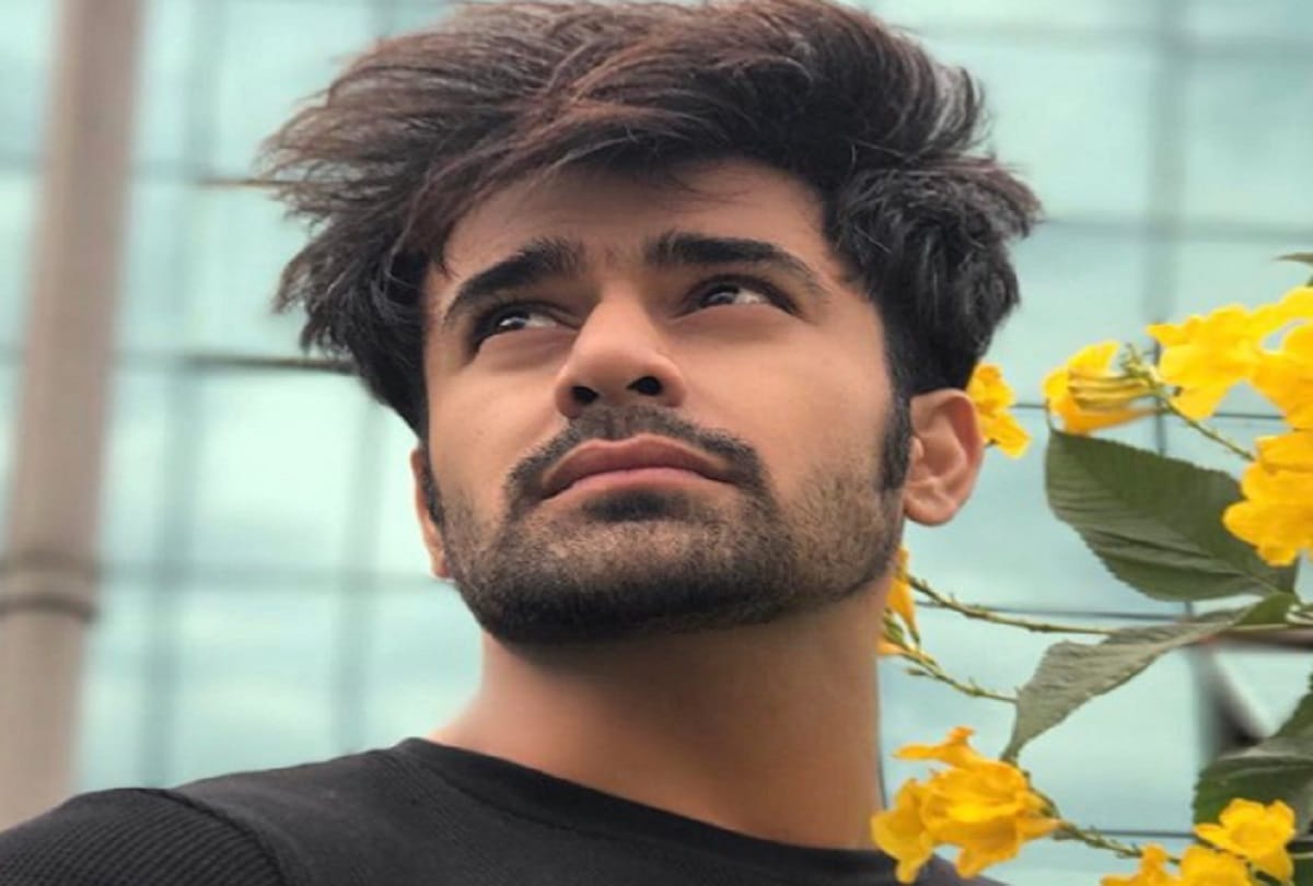 Pearl Puri will play the lead role in Ekta Kapoor serial Naagin 3 