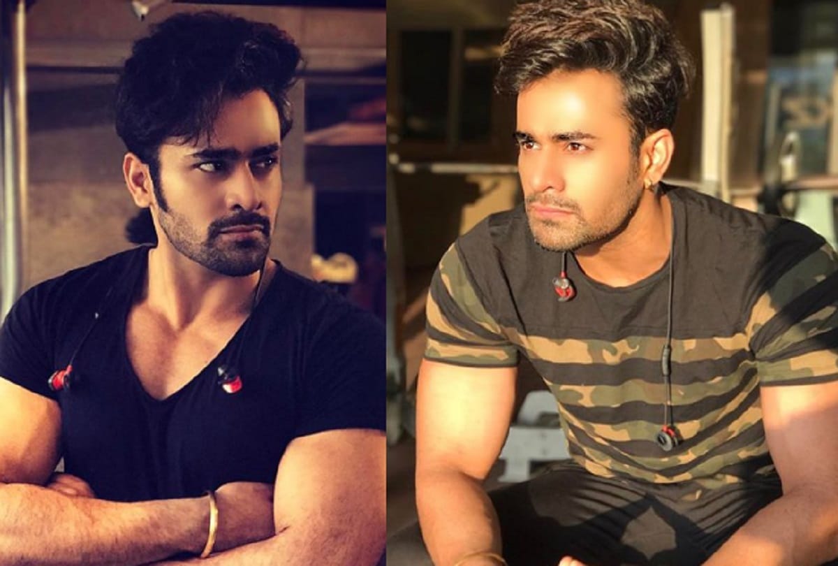Pearl Puri will play the lead role in Ekta Kapoor serial Naagin 3 