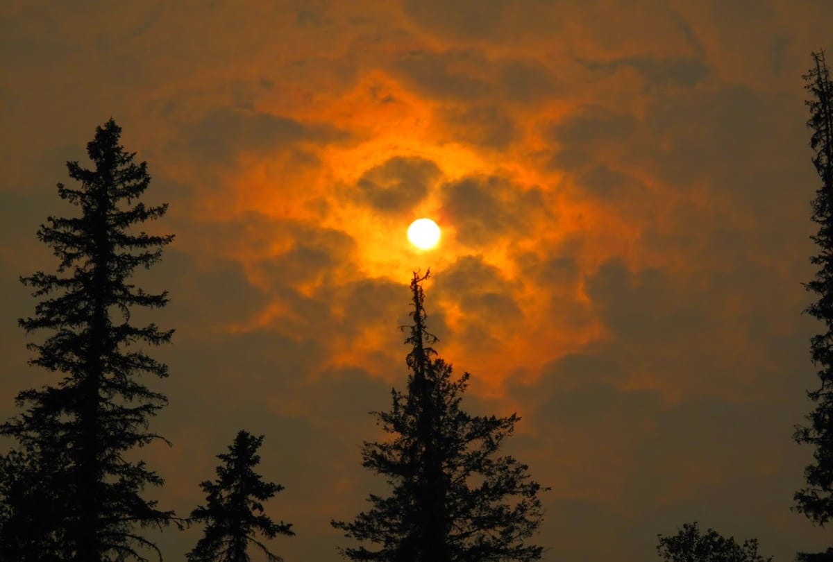 makar sankranti sun or surya transit in capricorn or makar rashi effect these 4 zodiac sign