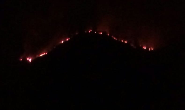Fire in the jungles of Ranikhet and Dwarahat