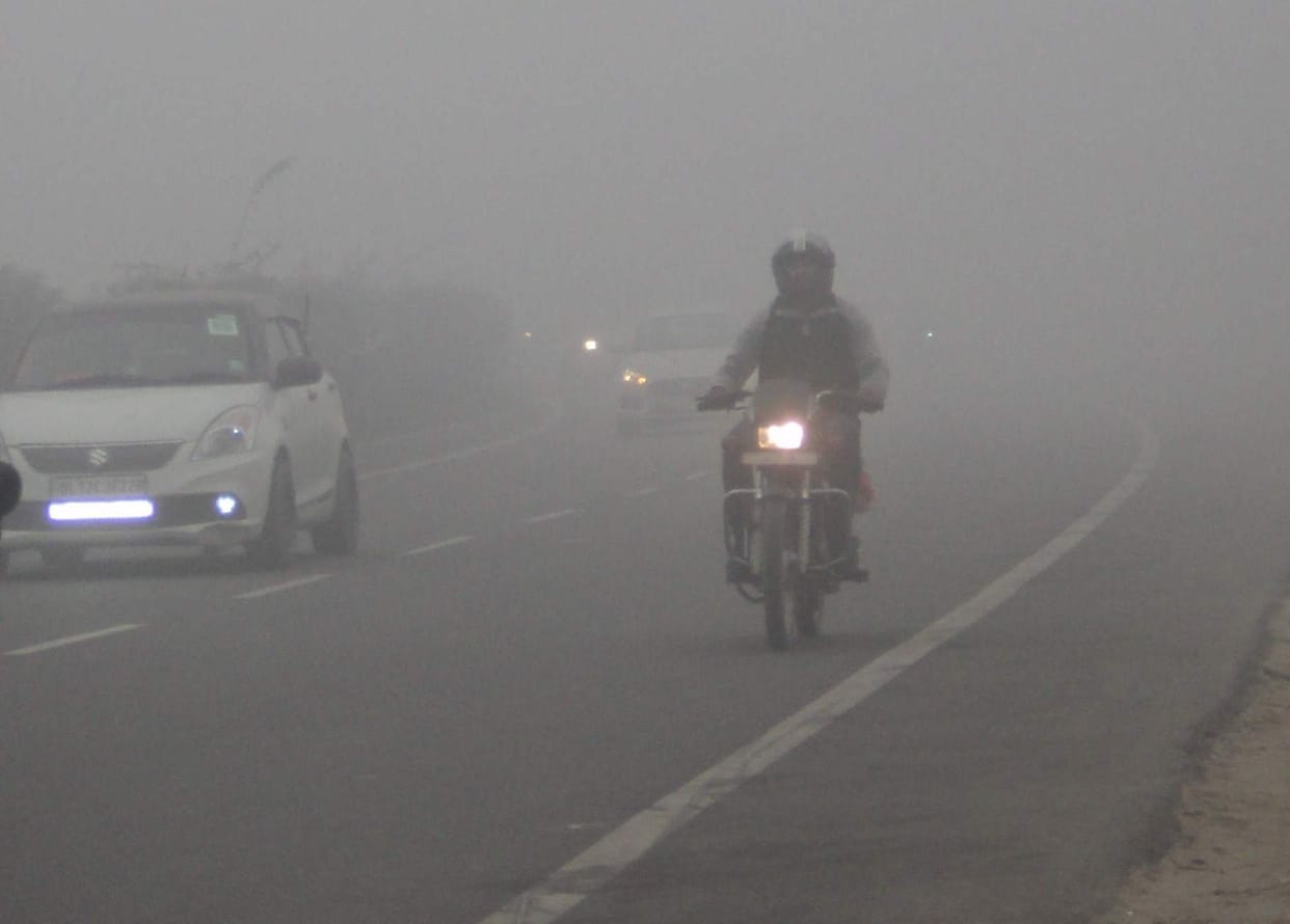 fog frightened at morning 