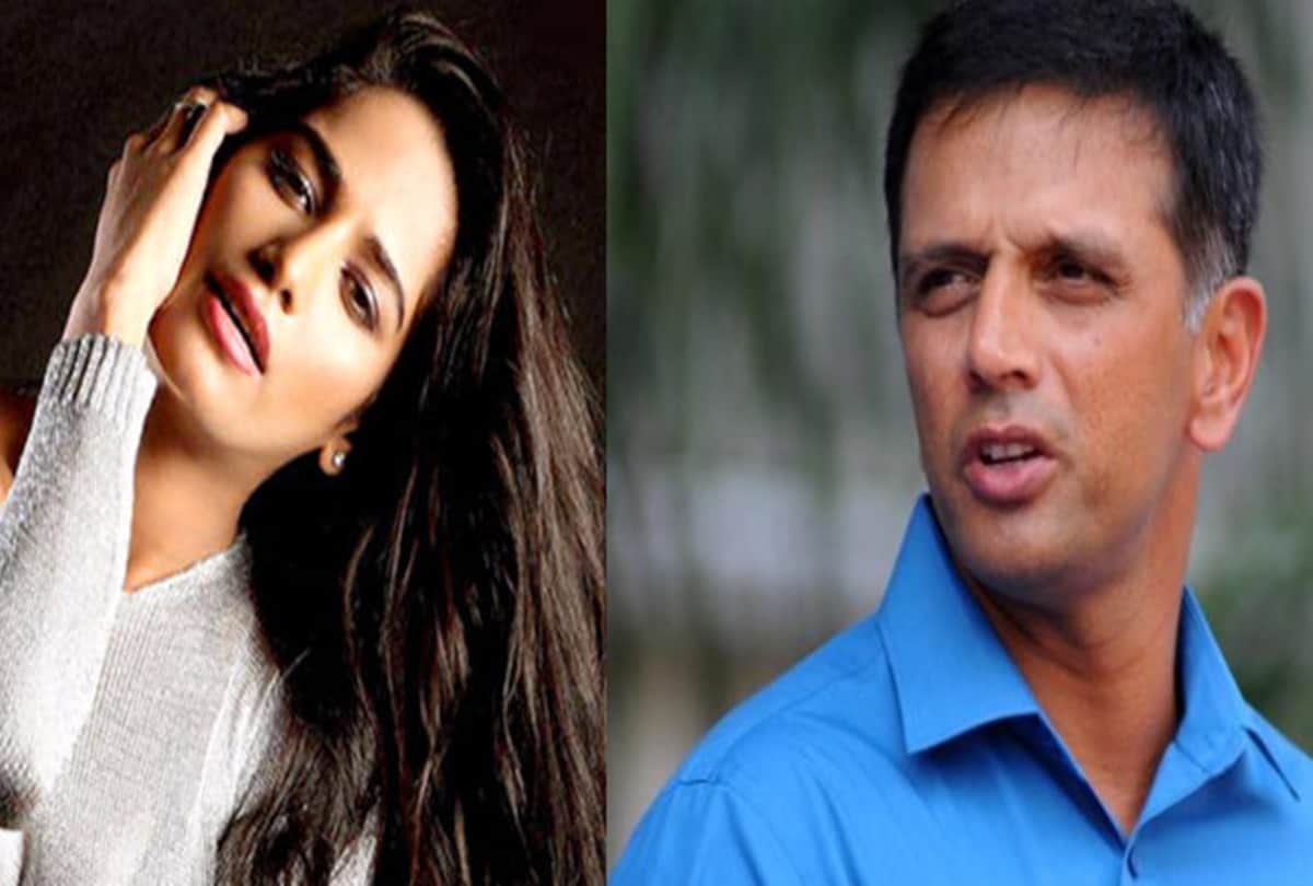 Poonam Pandey shares topless pic to wish Rahul Dravid on his birthday