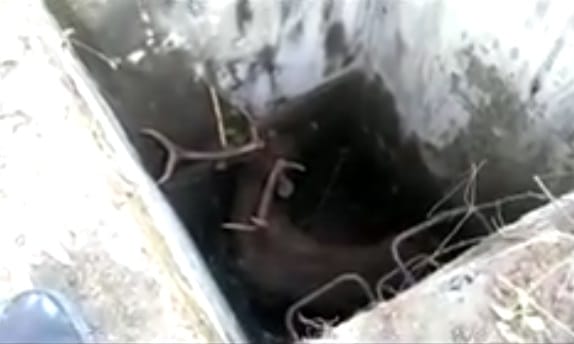 Reindeer rescue by bulldozer from Pit in haridwar