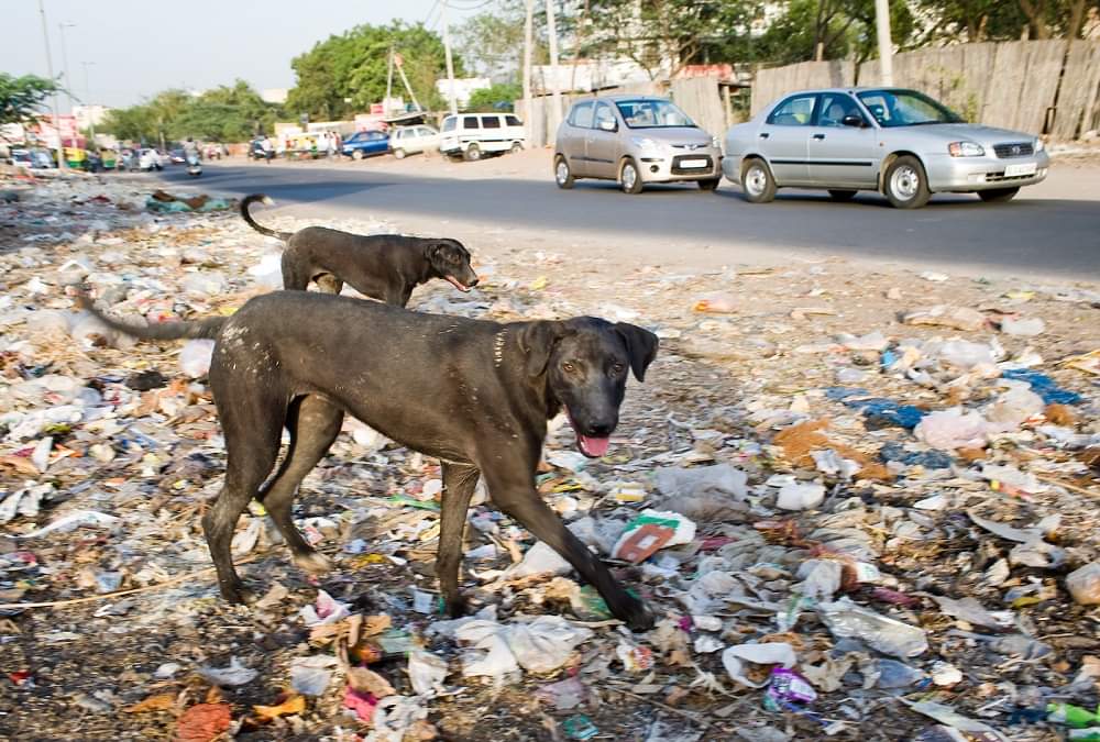 rajasthan tableau will not see in this year republic day parade new delhi