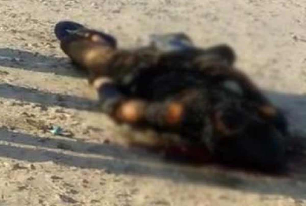 rajasthan jaipur murder in front of police station