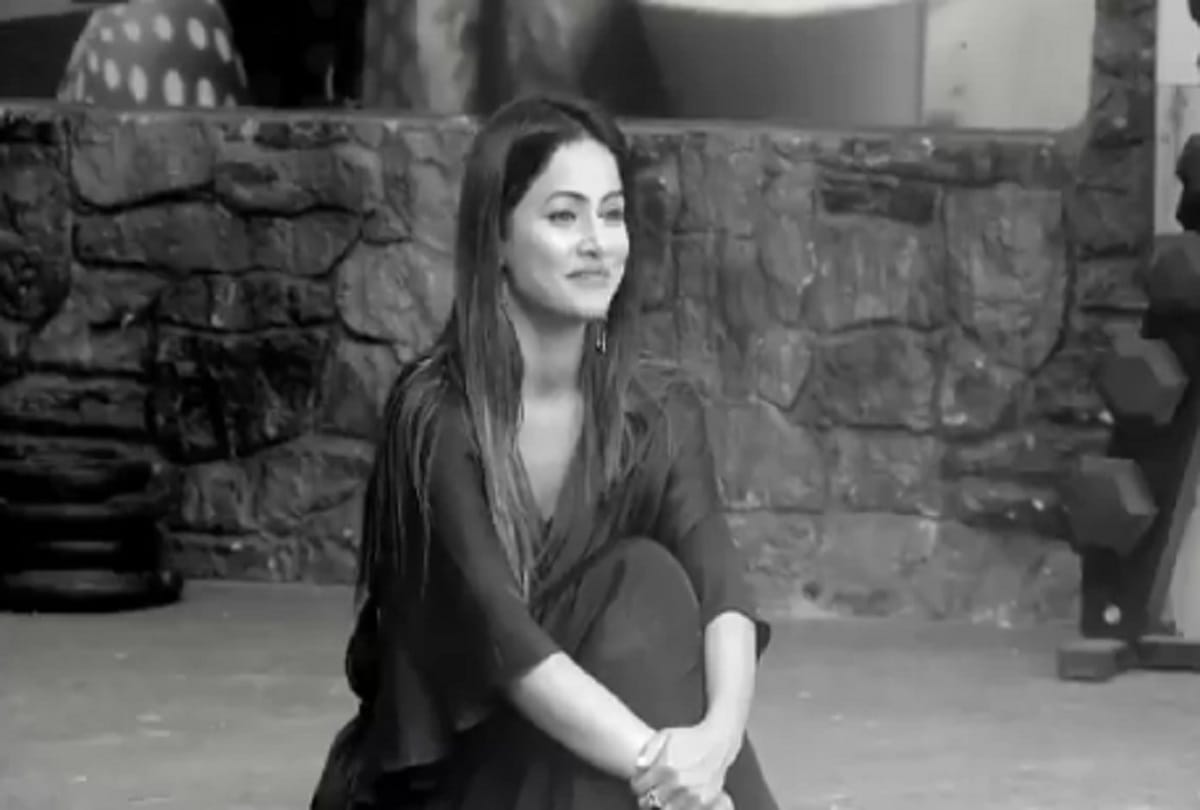 bigg boss 11 finale, geeta phogat appealed to support hina khan