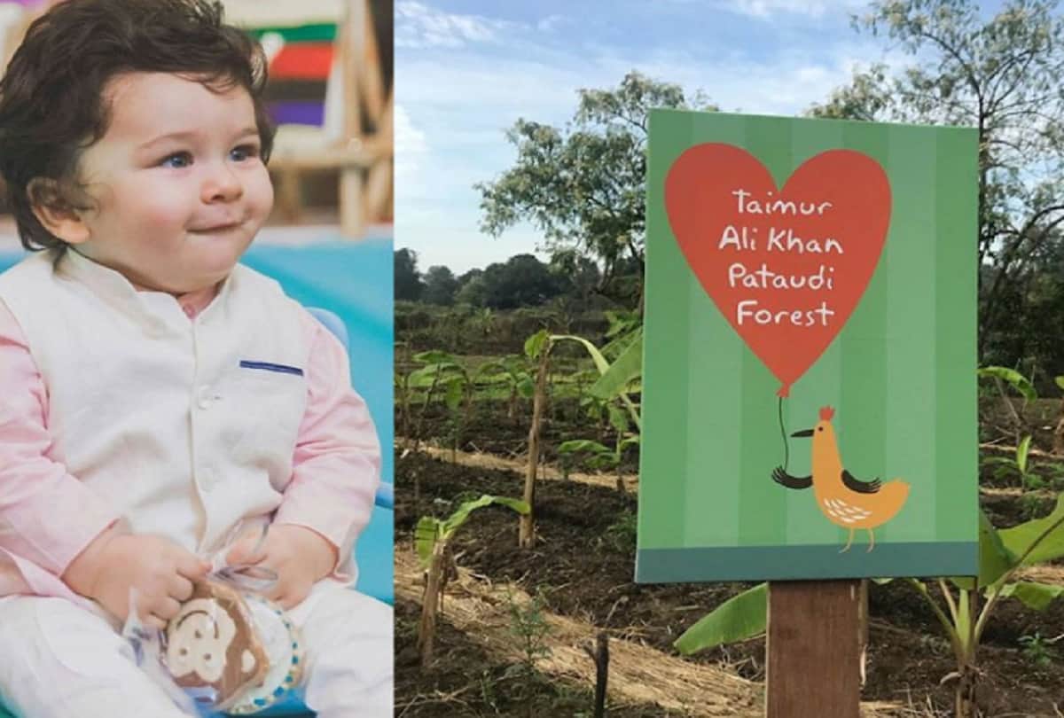 Taimur birthday unseen pic will win your heart quickly 
