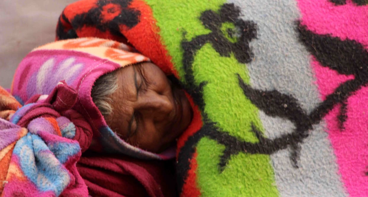 Sixteen death due to cold