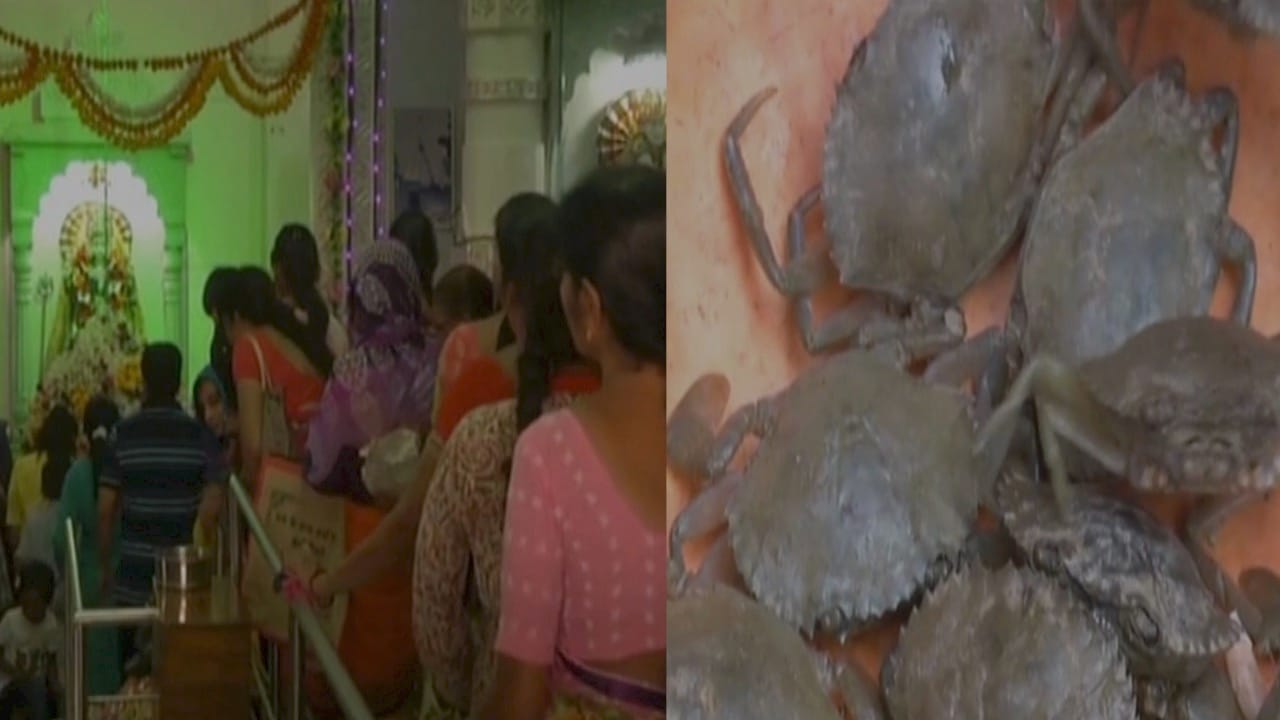 केकड़ा